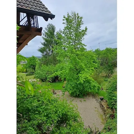 Casa vacanze In Kuelz With Swimming Pool